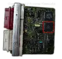 daewo 1 ecu.webp