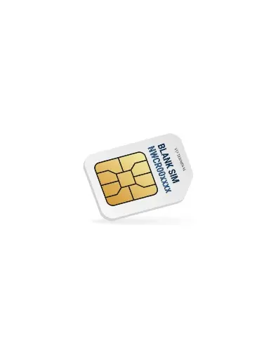 I/O TERMINAL BLANK SIM CARD